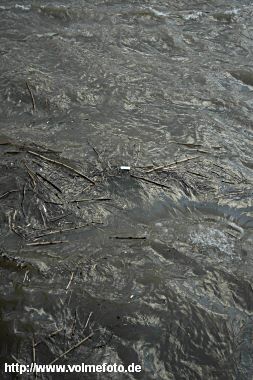 Nach dem Sturm - Volme führt Hochwasser