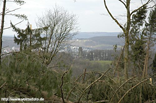 Im Stadtwald wurden 130 ha Wald zerstrt. 