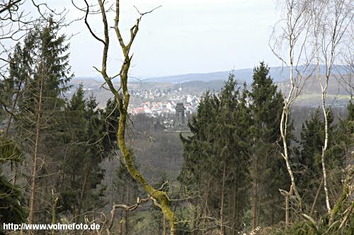 25 Millionen Bäume geknickt