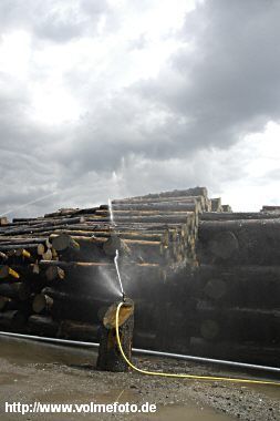 Kyrill-Holz lagert am Bahngelände