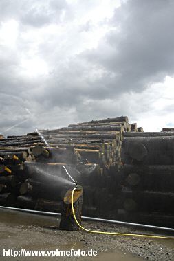 Kyrill-Holz lagert am Bahngelände