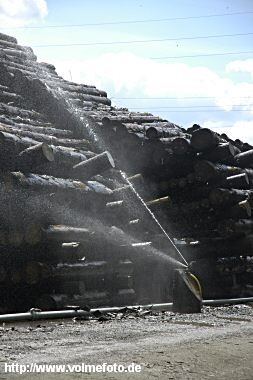 Kyrill-Holz lagert am Bahngelände