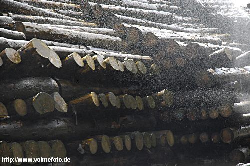 Kyrill-Holz lagert am Bahngelände