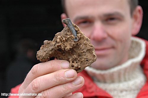 Im Sediment eingesinteter Fingerknochen