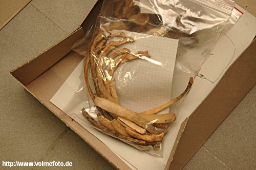 Altersdatierung mit Überraschungen