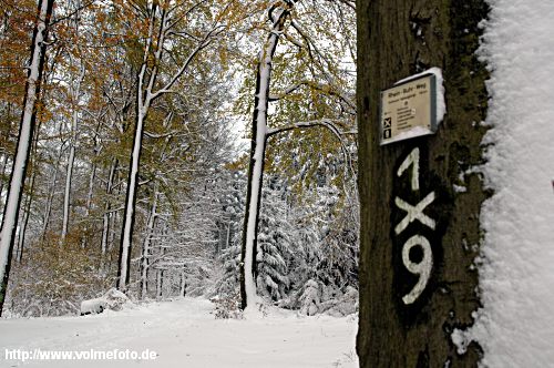 Wanderweg am Mrchenwald