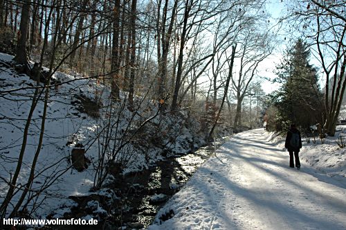 Winterspaziergang im Bachtal