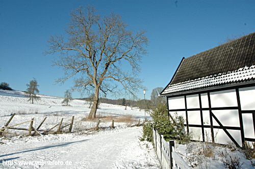 Winterspaziergang im Bachtal