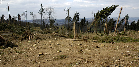 Sturmschden auf dem Hagener Goldberg